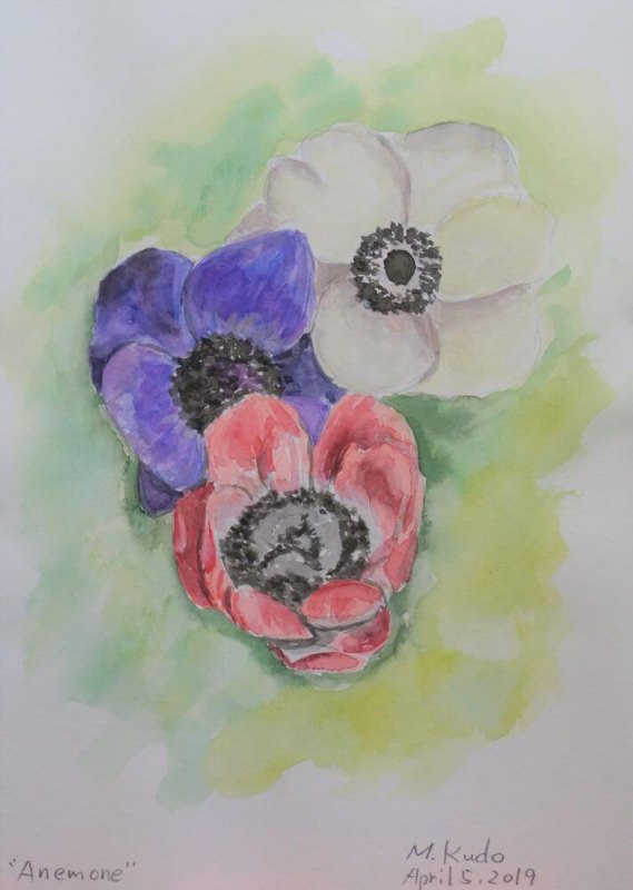 Anemone
