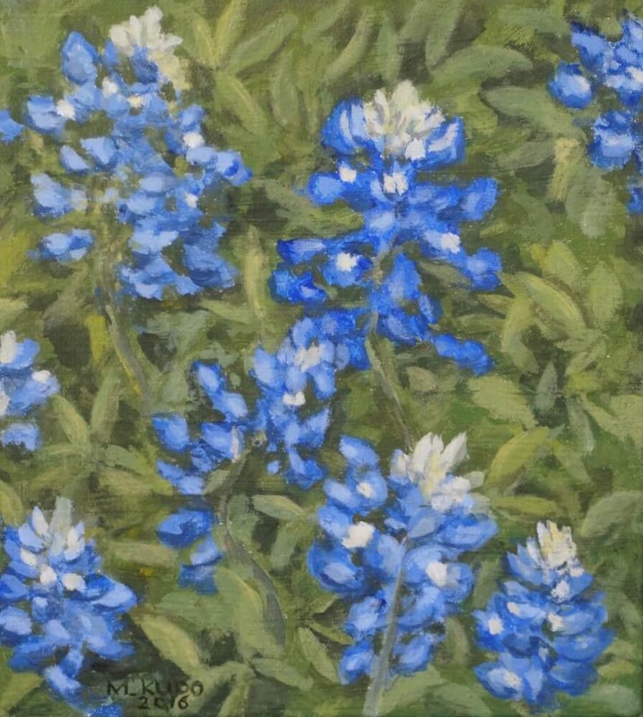 Bluebonnets