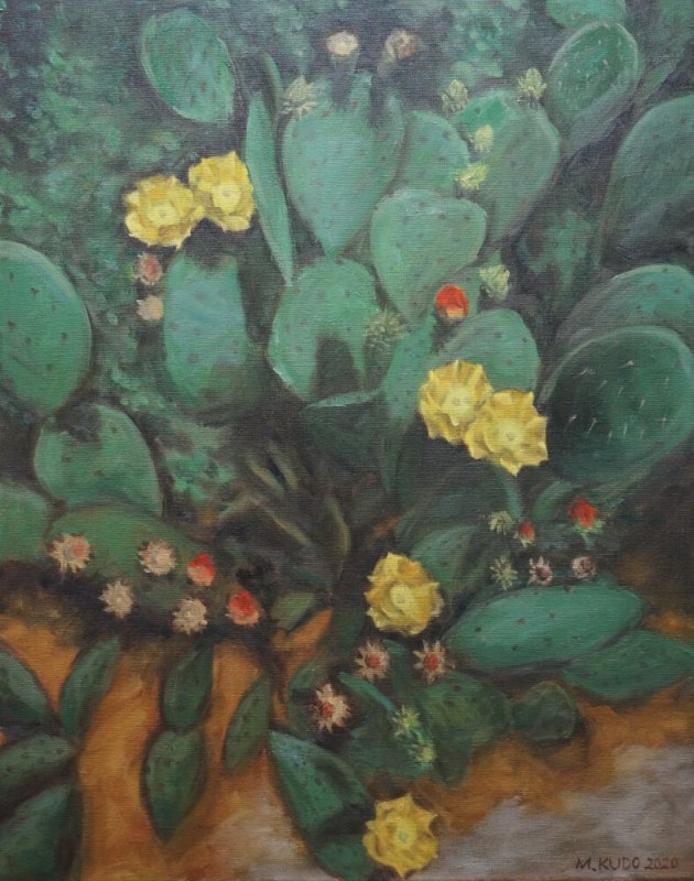 Cactus
