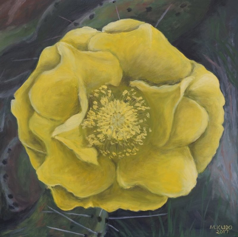 Cactus Flower