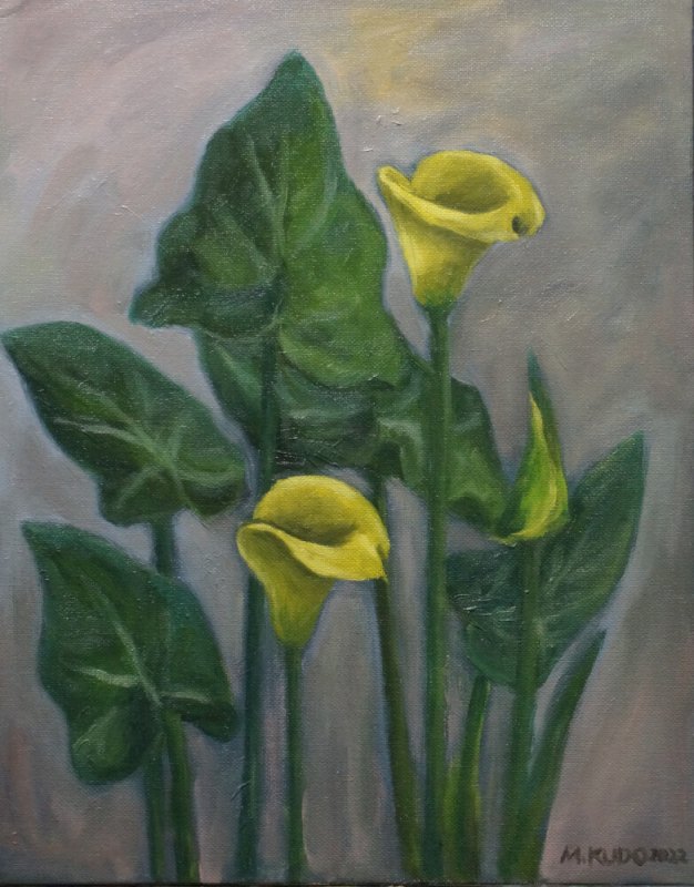 Calla Lilies