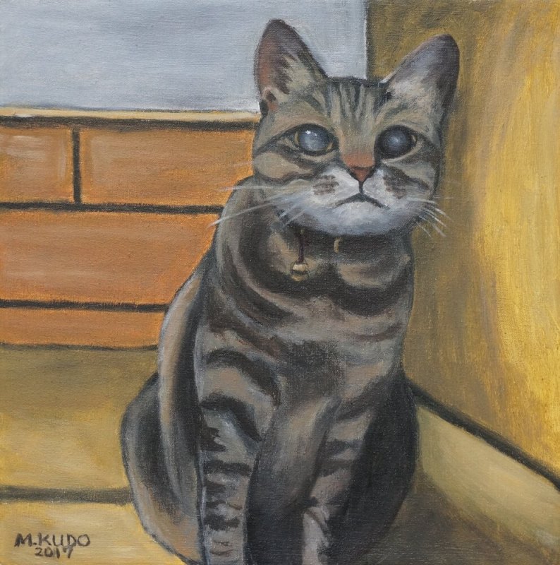 Chacha (blind cat)