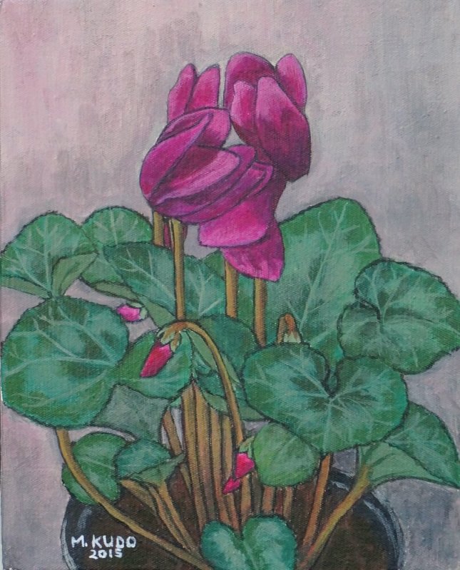 Cyclamen