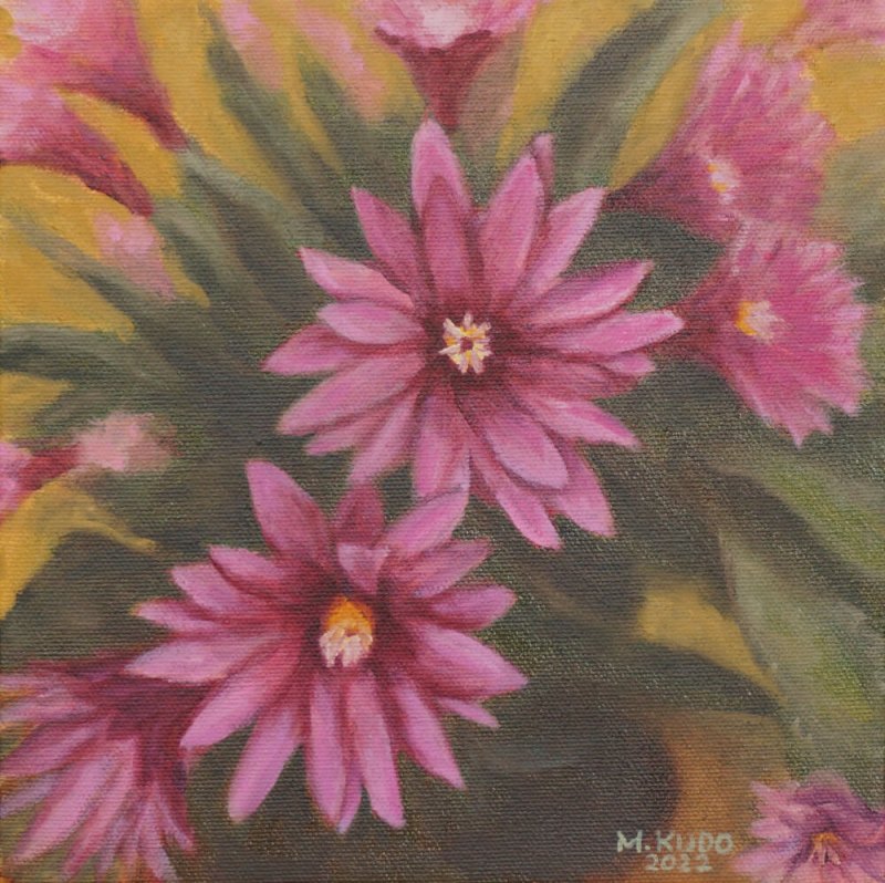 Easter Cactus