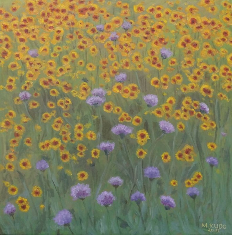 Field Of Wild Flowers