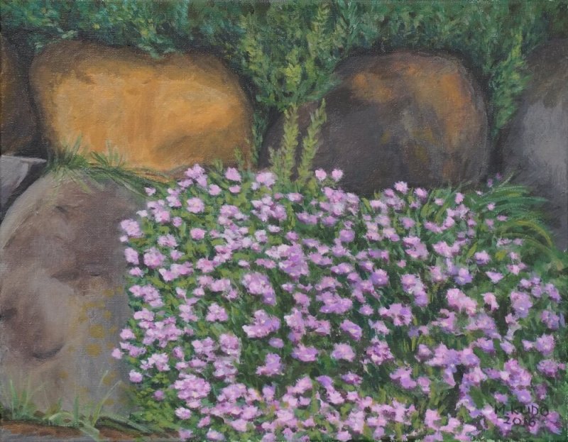 Flowers By The Roadside