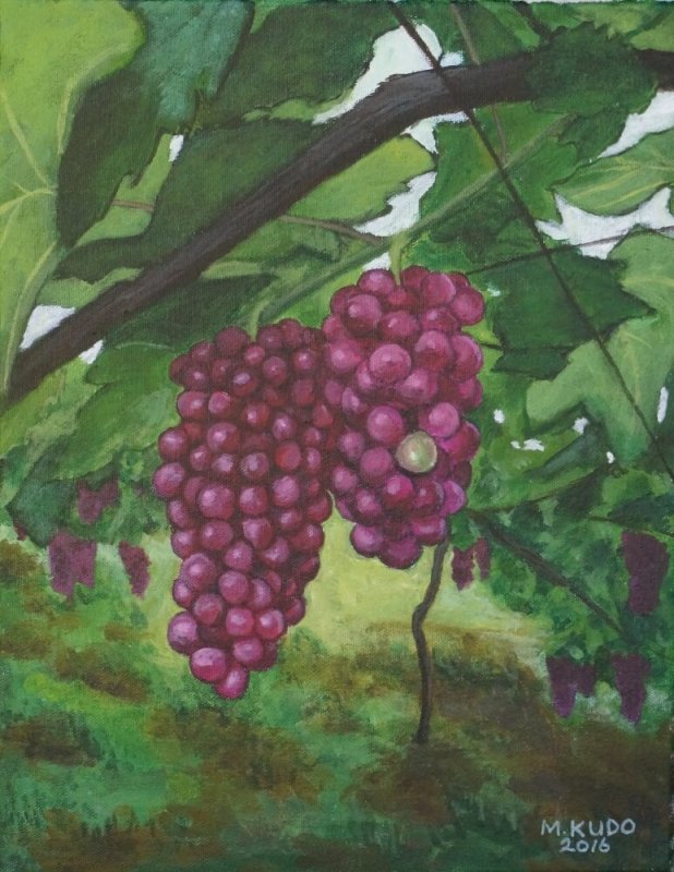 Grapes