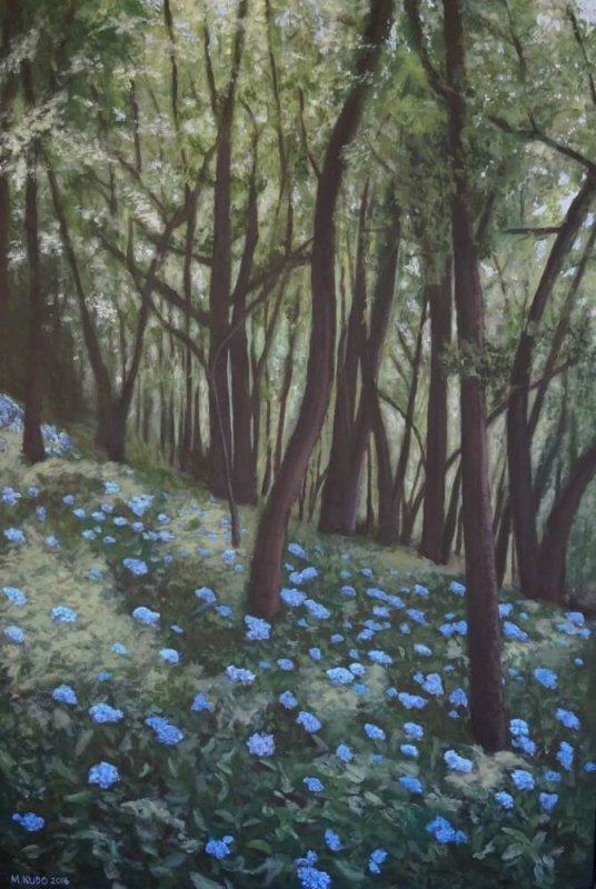 Hydrangea Field