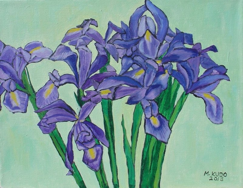 Iris