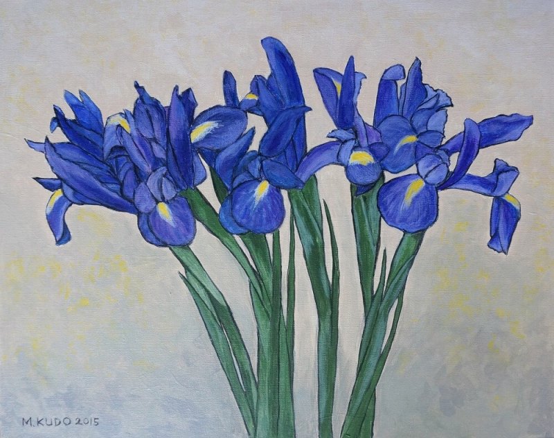 Iris