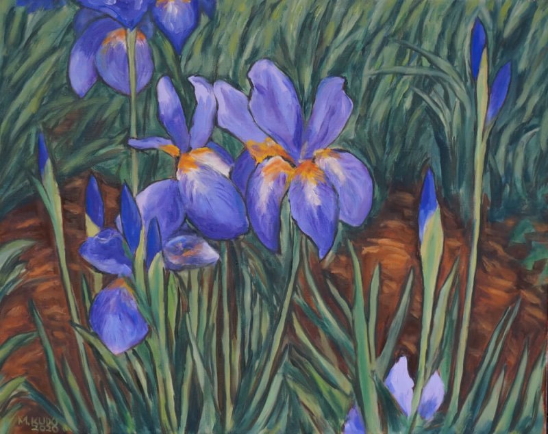 Irises