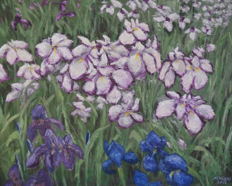 Irises
