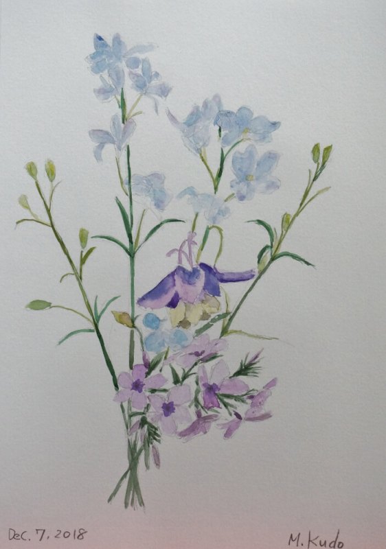 Little Blue Flowers