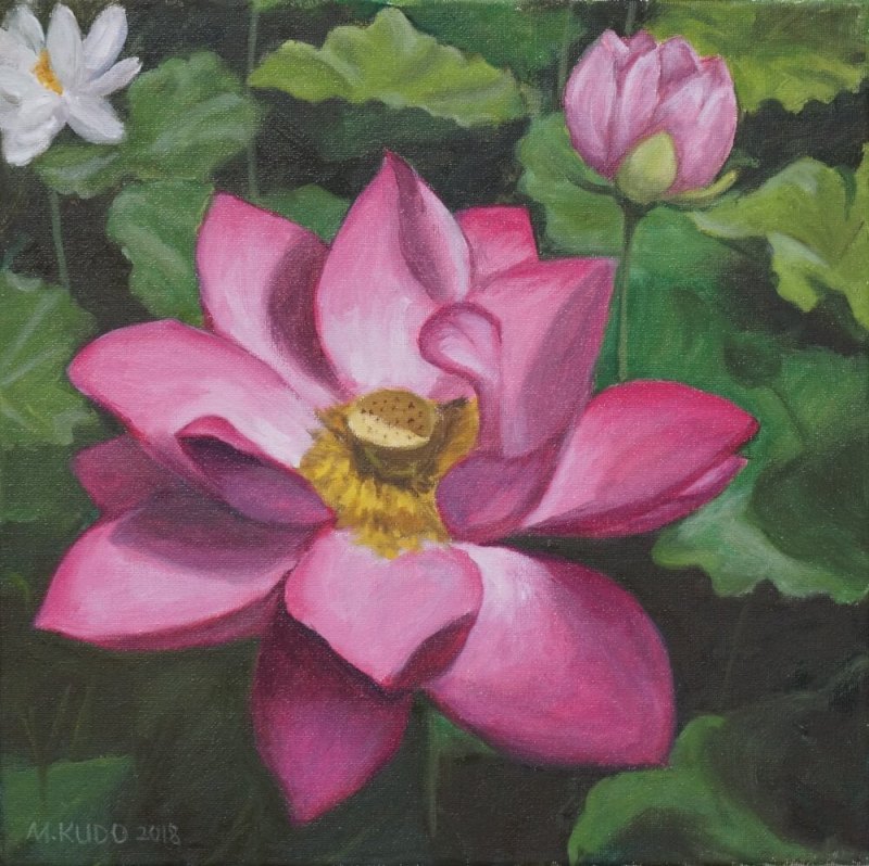 Lotus Flower