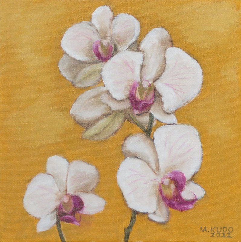 Orchid