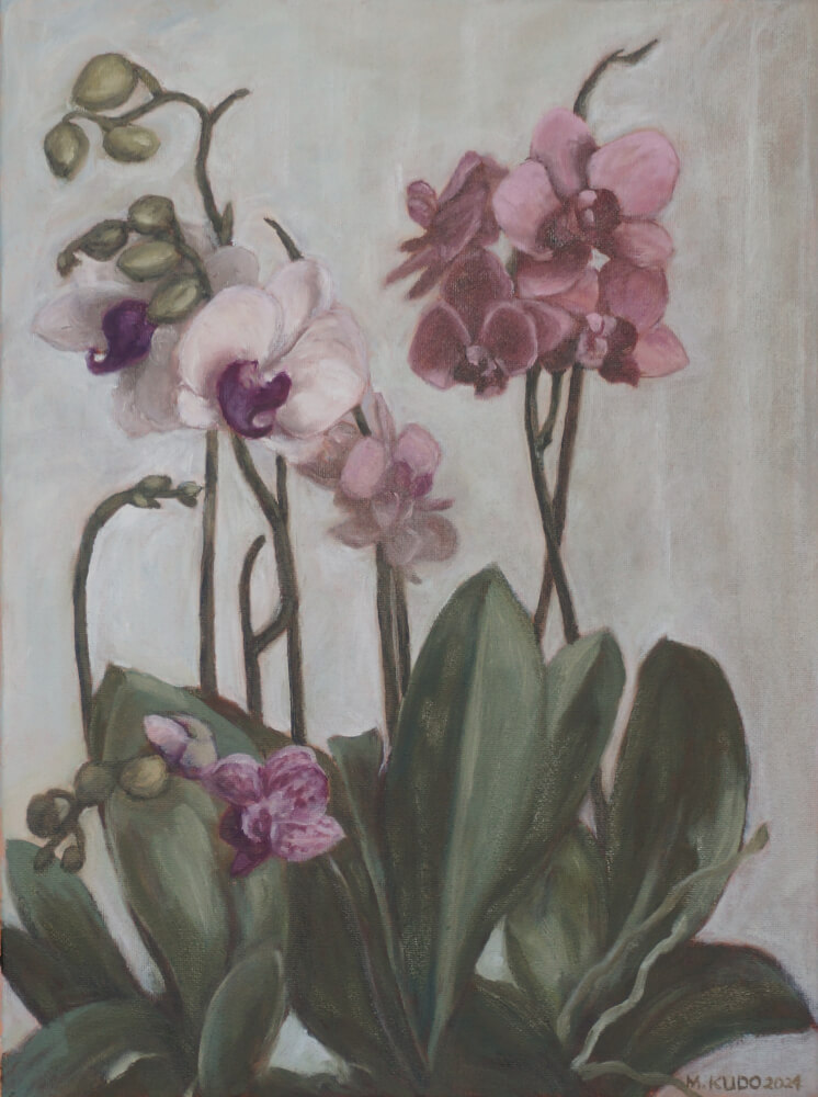 Orchids