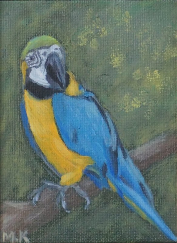 Parrot