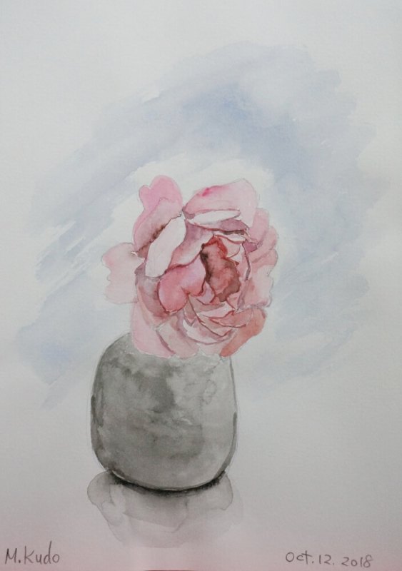 Pink Rose