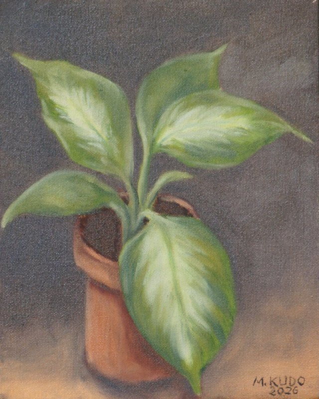 Pothos