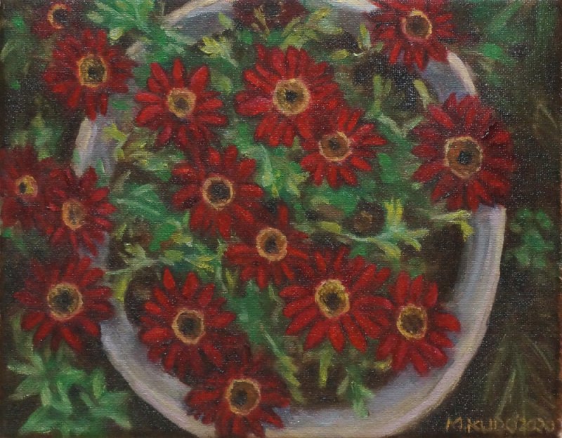 Red Daisies