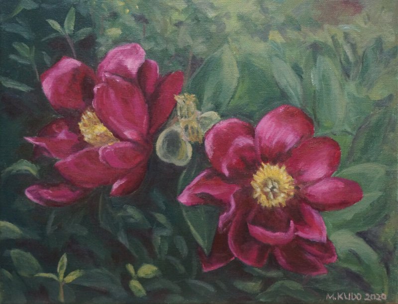 Red Peonies