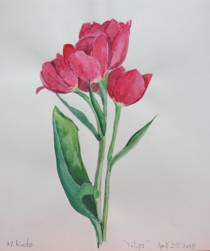 Red Tulips