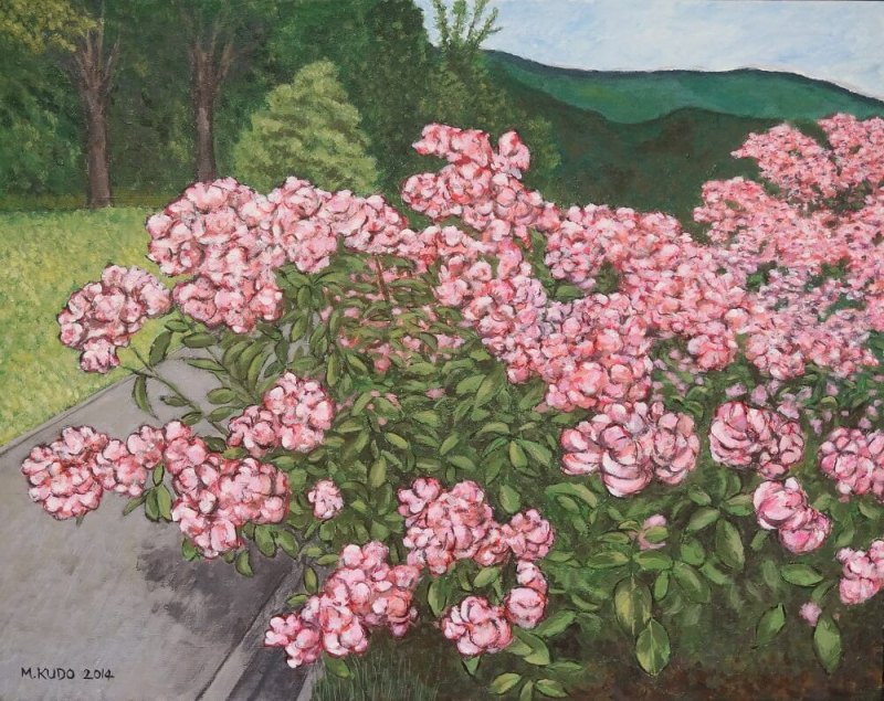 Rose Garden