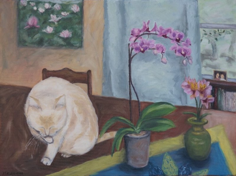 Shiro And Orchid