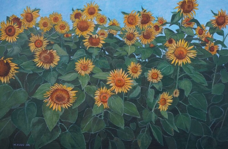 Sunflower Field