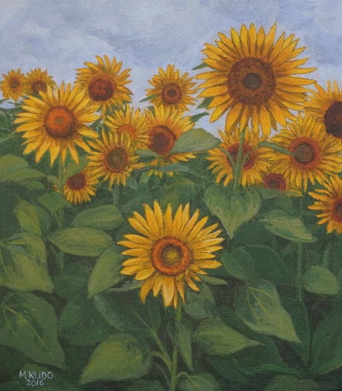 Sunflowers