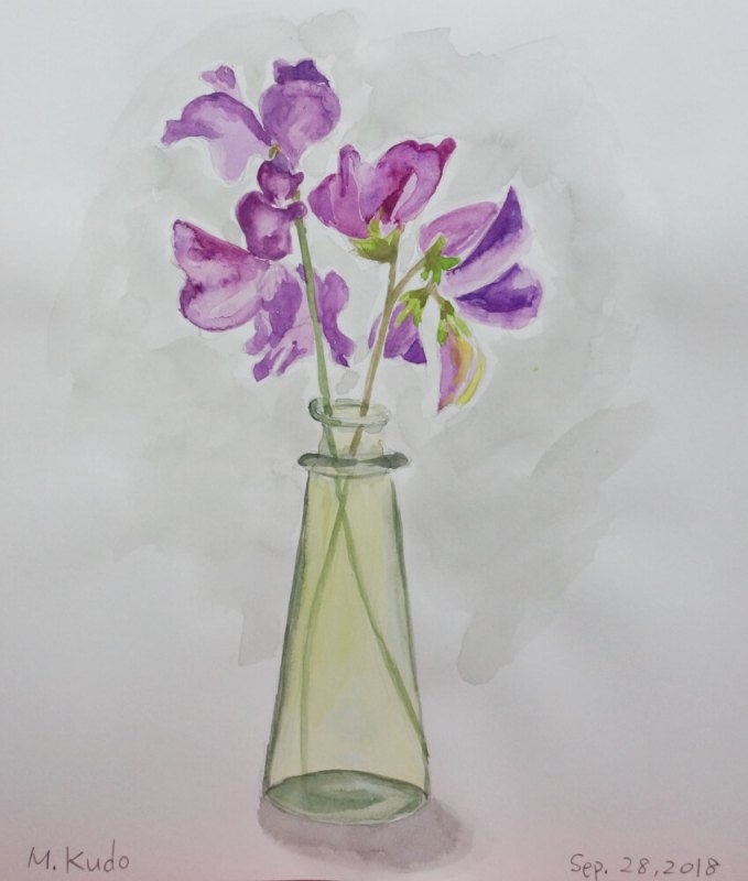 Sweet Pea Flowers