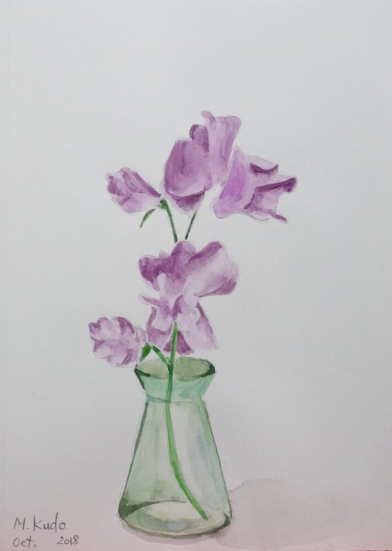 Sweet Pea Flowers