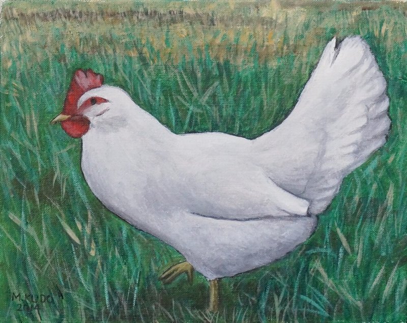 White Chicken
