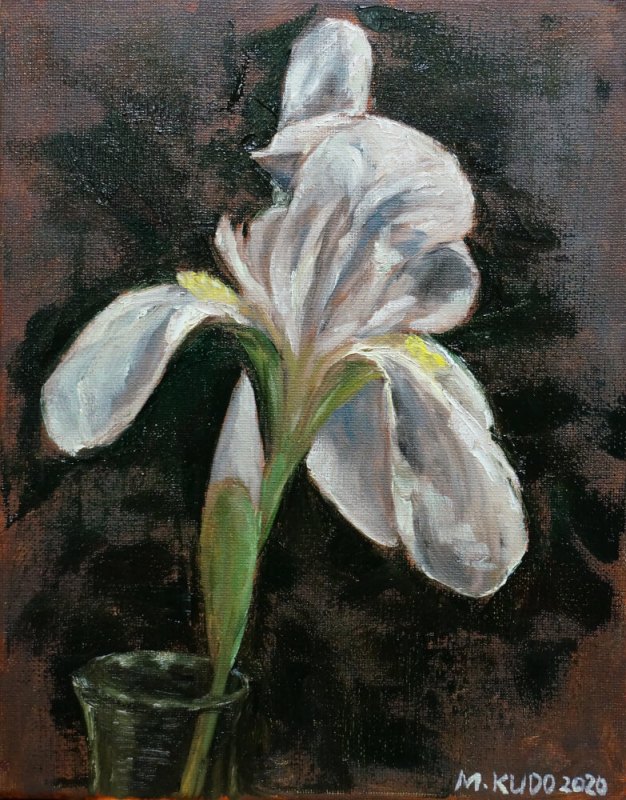 White Iris