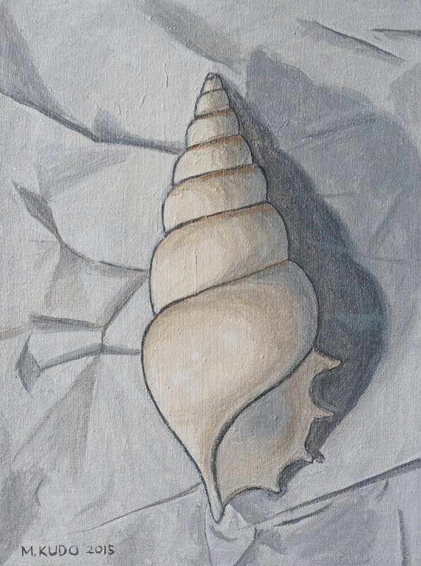 White Seashell