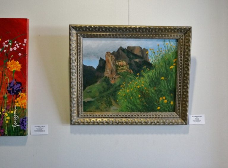 Wimberley Medical Plaza Art Display