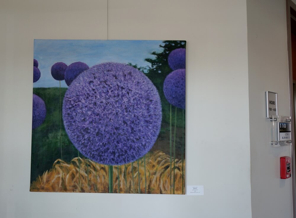 Wimberley Medical Plaza Art Display
