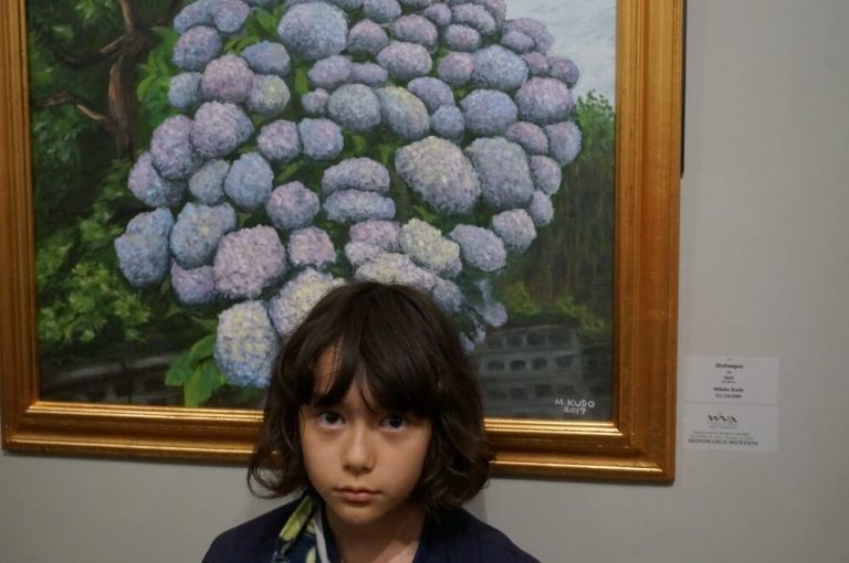Wimberley Valley Art League Juried Exhibition