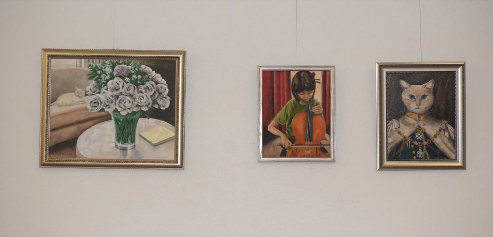 Wimberley Village Library Art Display